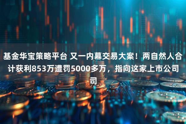 基金华宝策略平台 又一内幕交易大案！两自然人合计获利853万遭罚5000多万，指向这家上市公司