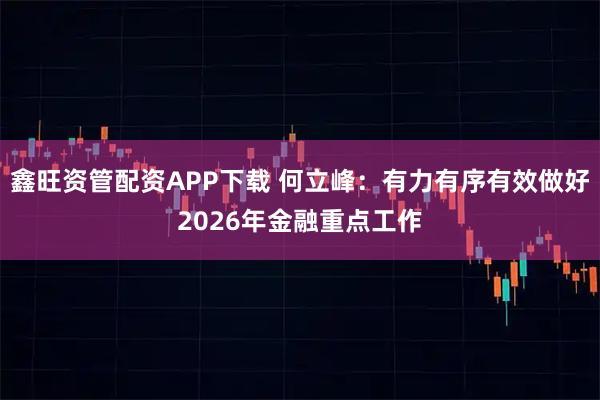 鑫旺资管配资APP下载 何立峰：有力有序有效做好2026年金融重点工作