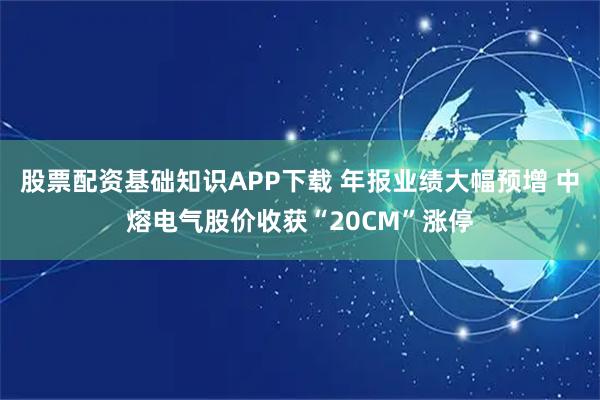 股票配资基础知识APP下载 年报业绩大幅预增 中熔电气股价收获“20CM”涨停